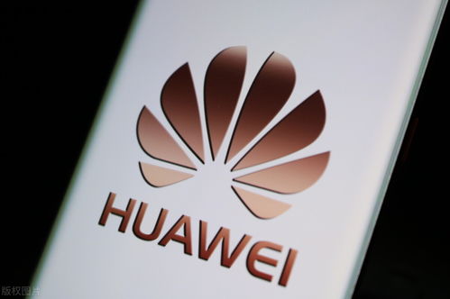 跨境电商快讯 数字文化创意内容驱动内容应用服务升级