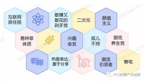 优宠智能2021 数字文化创意内容如何引爆宠物产品与服务