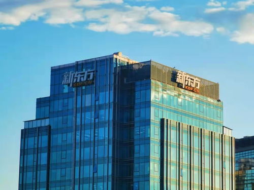 新东方成立数字科技公司 数字文化创意内容应用服务的战略布局与未来展望